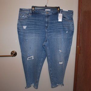 LANE BRYANT PLUS  SIZE 24 SIGNATURE FIT BOYFRIEND CAPRI MID-RISE